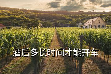 酒后多长时间才能开车