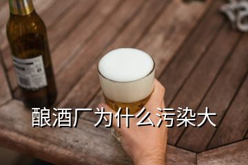 酿酒厂为什么污染大