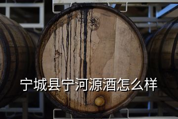 宁城县宁河源酒怎么样