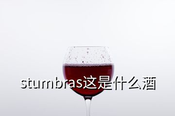 stumbras这是什么酒