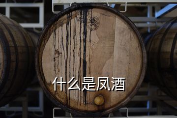 什么是凤酒