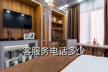 客服务电话多少