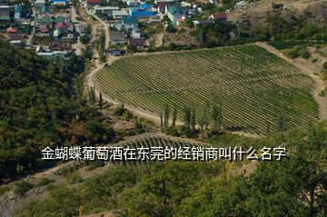 金蝴蝶葡萄酒在东莞的经销商叫什么名字