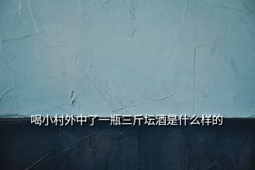 喝小村外中了一瓶三斤坛酒是什么样的