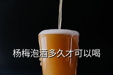 杨梅泡酒多久才可以喝