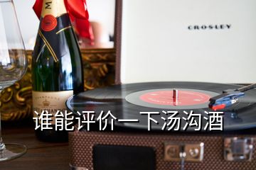 谁能评价一下汤沟酒