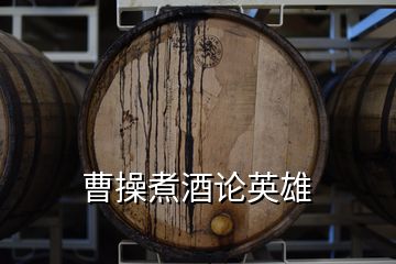 曹操煮酒论英雄