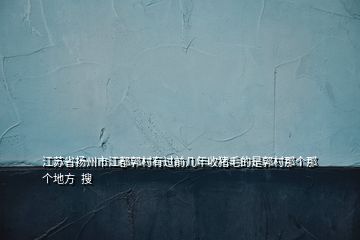 江苏省扬州市江都郭村有过前几年收猪毛的是郭村那个那个地方  搜