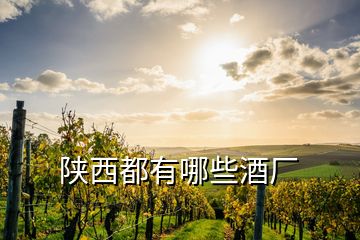 陕西都有哪些酒厂