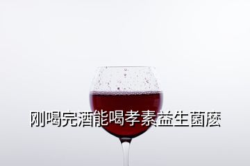 刚喝完酒能喝孝素益生菌麽