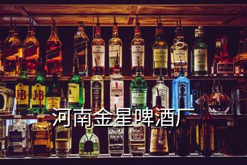 河南金星啤酒厂