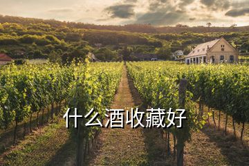 什么酒收藏好