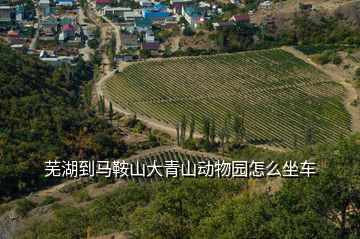 芜湖到马鞍山大青山动物园怎么坐车