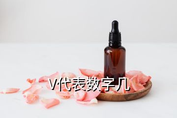 V代表数字几