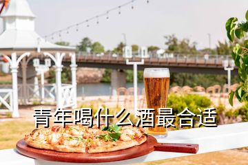 青年喝什么酒最合适