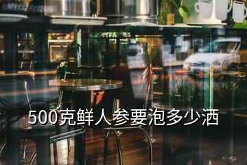 500克鲜人参要泡多少洒