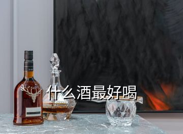 什么酒最好喝