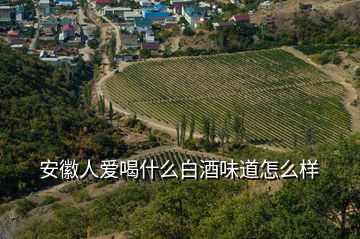 安徽人爱喝什么白酒味道怎么样