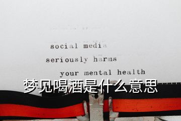 梦见喝酒是什么意思