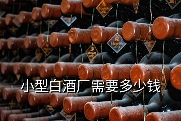 小型白酒厂需要多少钱