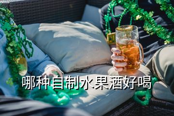 哪种自制水果酒好喝