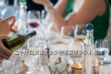 二十斤白酒要放多少泡酒要放多少人参