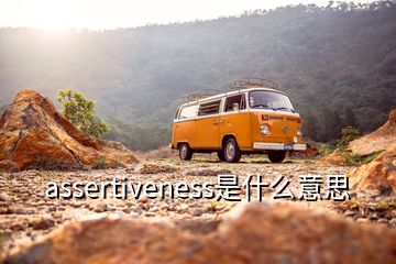 assertiveness是什么意思