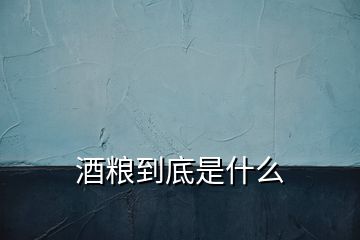 酒粮到底是什么