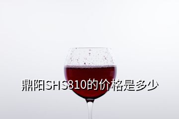 鼎阳SHS810的价格是多少