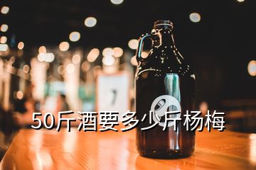 50斤酒要多少斤杨梅