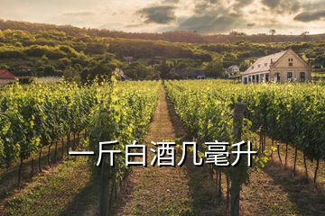 一斤白酒几毫升