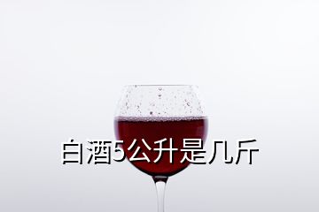 白酒5公升是几斤