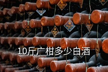 10斤广柑多少白酒