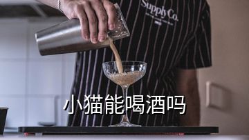 小猫能喝酒吗