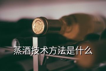 蒸酒技术方法是什么