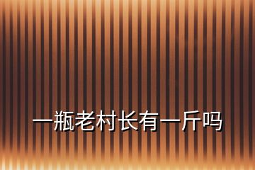 一瓶老村长有一斤吗