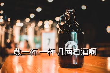 敬一杯 一杯 几两白酒啊