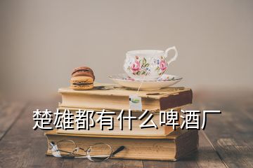 楚雄都有什么啤酒厂