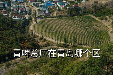 青啤总厂在青岛哪个区