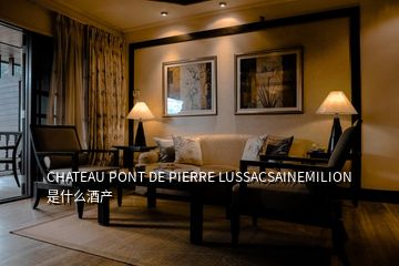 CHATEAU PONT DE PIERRE LUSSACSAINEMILION 是什么酒产