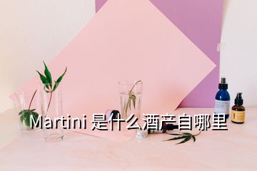 Martini 是什么酒产自哪里