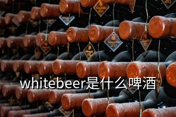 whitebeer是什么啤酒