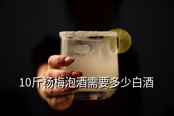 10斤杨梅泡酒需要多少白酒