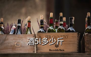 酒5l多少斤