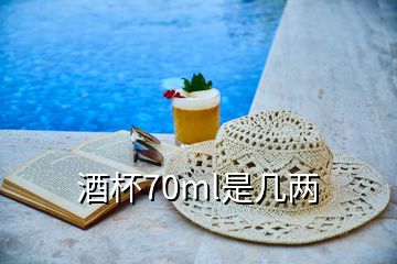 酒杯70ml是几两