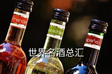 世界名酒总汇