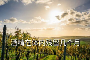 酒精在体内残留几个月