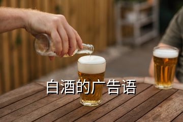 白酒的广告语