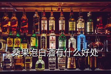 桑果泡白酒有什么好处