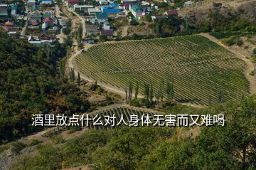 酒里放点什么对人身体无害而又难喝